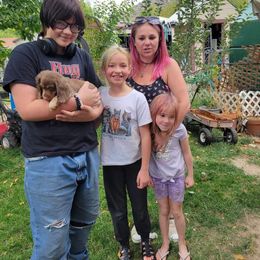 Dachshund Puppies from Shaffers low riding weiners