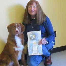 Nova Scotia Duck Tolling Retriever All Grown Up from Dtails Tollers