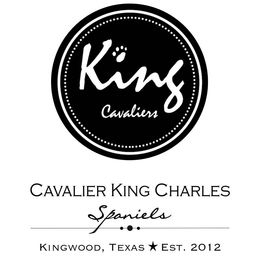 Cavalier King Charles Spaniels from King Cavaliers