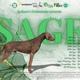 Sage