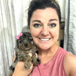Aussiedoodle and Miniature Schnauzer Puppies from Southern Paws Kennels