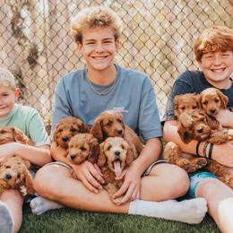 Goldendoodles from Seaside Doodle Co.