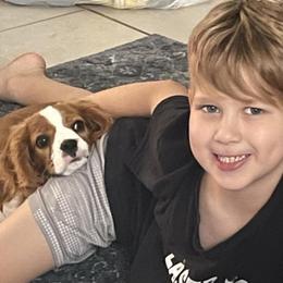 Cavalier King Charles Spaniel Puppies from Stargazer Cavaliers