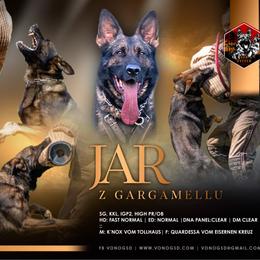 Jar z - German Shepherd