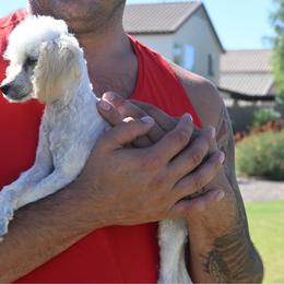 Orange girl - Cream female Poodle puppy in Maricopa, Arizona from La Petite poodle