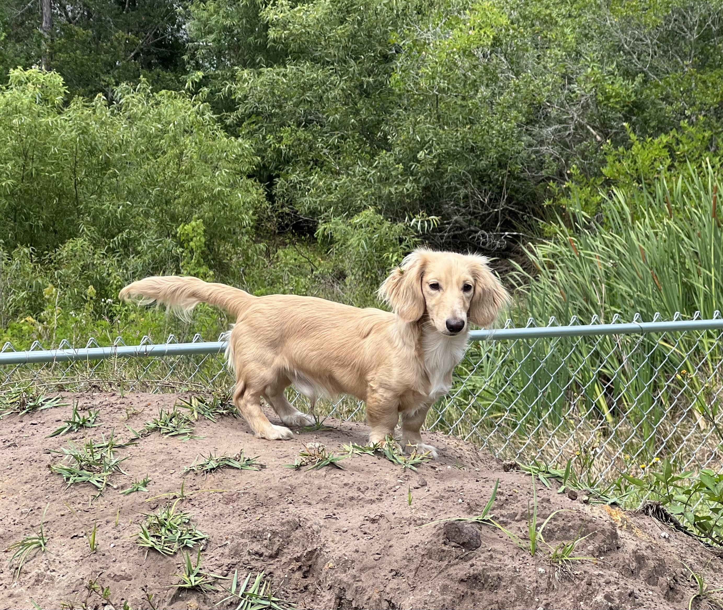 Roscoe