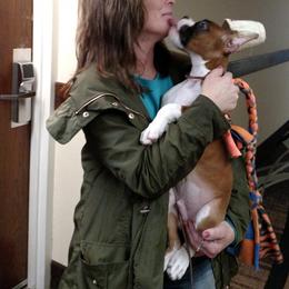 Boxer Puppies from Donna Schafer
