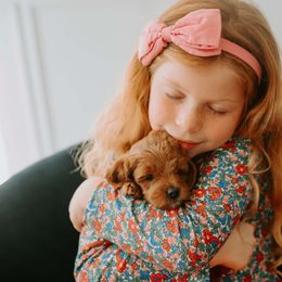 Goldendoodle Puppies from Patton Doodles