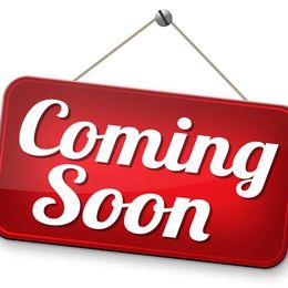 Cockapoo puppies from Saddle Mountain Doodles