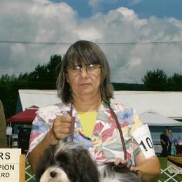 Havanese from Mt. Breeze