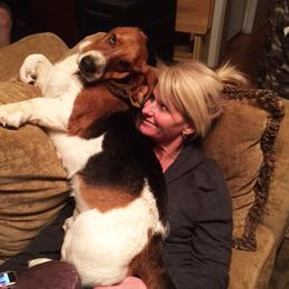 T-Bone - Basset Hound