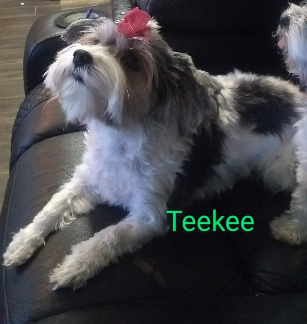 Teekee