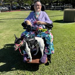 Rat Terrier Puppies from Haiku Rat Terriers