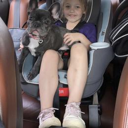 French Bulldog Puppies from Donna's French Bulldogs