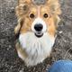Rita