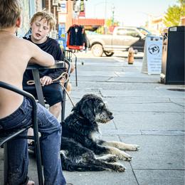 Hades (trained therapy dog) - Black and tan female Schnoodle puppy in Spokane, Washington from Crazy-Joy