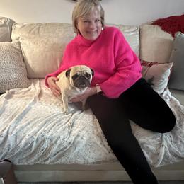Lily - Pug