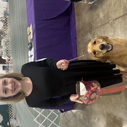 Golden Retrievers from Sunridge Goldens