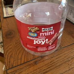 Pembroke Welsh Corgi puppies from Mesa Acre