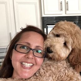 Bernedoodle and Goldendoodle All Grown Up from Jefferson Doodles