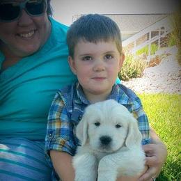 Golden Retriever Puppies from Dewbury Dream Goldens