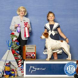 Dixie - Brittany