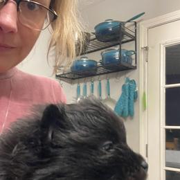 Baby girl - Black female Pomeranian puppy in Adairsville, Georgia from BE North GA Pomeranians