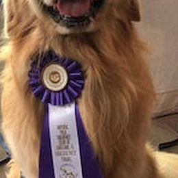 Golden Retrievers from Eagleridge Goldens