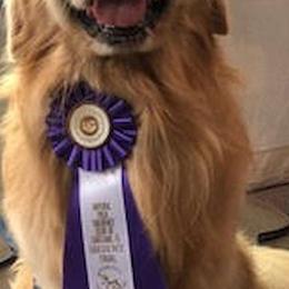 Golden Retrievers from Eagleridge Goldens