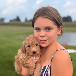 Nash - Red male Cavapoo puppy in Somerset, Kentucky from Hilltop Doodles KY LLC