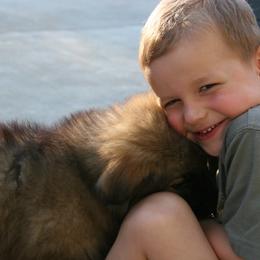 Shiloh Shepherd Puppies from Solace Shilohs