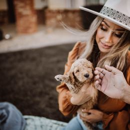 Aussiedoodle and Bernedoodle Puppies from High Desert Doodles
