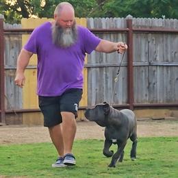 Cane Corso Puppies from Richline Kennel