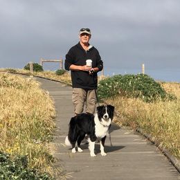Border Collie Puppies from Flying S Ranch Border Collies
