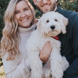 Goldendoodles from Joyful Goldendoodles LLC