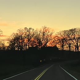 Girl 2 - Brindle female Cairn Terrier puppy in Pottersville, Missouri from Cairn Terriers of Heatherridge,LLC