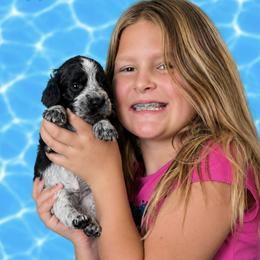 Poppet - Black and white female English Springer Spaniel puppy in Fort White, Florida from Thunderbird Springers