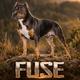 Fuse