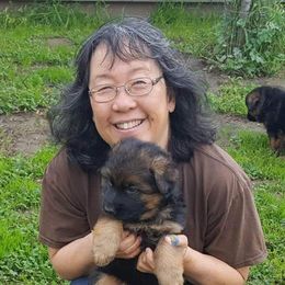 German Shepherd Puppies from Zwinger vom Roten Wald