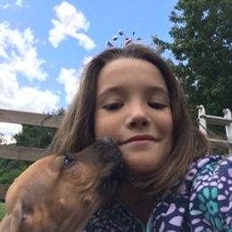 Rhodesian Ridgeback Puppies from Lyonnese Rhodesian Ridgebacks