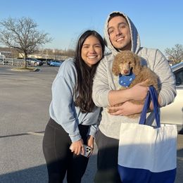 “Eggs Benedict” Blue Collar Male - Apricot Poodle puppy in Buckhorn, Kentucky from Abner Farm’s Poodles
