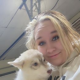 Siberian Husky Puppies from Spirit of the Moon Siberians