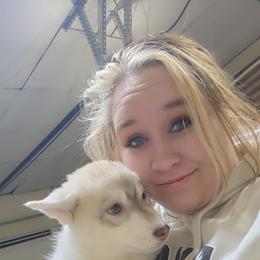 Siberian Husky Puppies from Spirit of the Moon Siberians