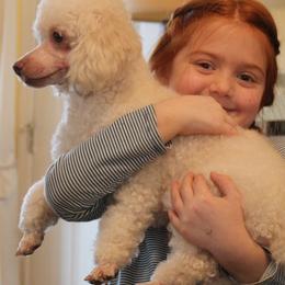 Poodles from Wendy's House Of Poodles LLC