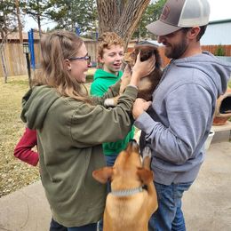 Australian Shepherd Puppies from AW Standard Aussies
