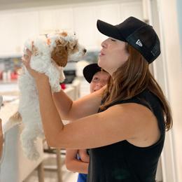 Bernedoodle, Goldendoodle, and Poodle Puppies from Teddy Doodles & Standard Poodles