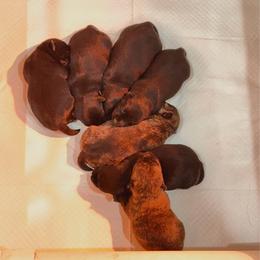 Brindle boy 1 - Brindle male Scottish Terrier puppy in Wellston, Ohio from White Apple Kennel