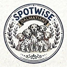 Dalmatians from SpotWise Dalmatians