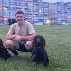 Boykin Spaniels from Weavers Kennels