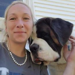 Golden Retrievers and Saint Bernards from Southern Cross